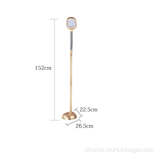 Adaptor 108 80 LED Floor Lamp Use Indoor